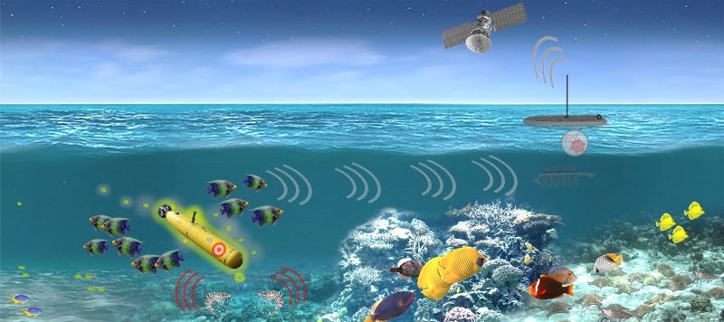 Persistent Aquatic Living Sensors Program
