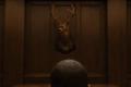 The back of a Black man's head is in centerframe as he stares at a deer head in the middle of a wood study