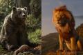 Baloo from The Jungle Book-remake compared to Mufasa from The Lion King-remake